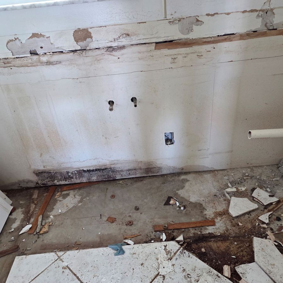 Mold along the bottom of a wall and damaged subfloor where a kitchen cabinet was removed